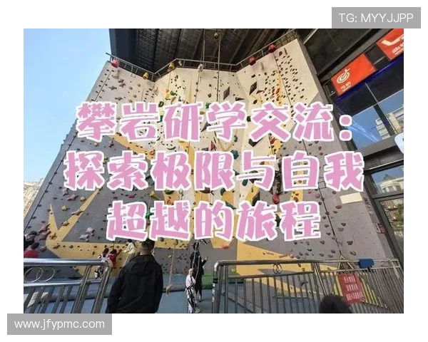 杭州攀岩队比赛经验分享与提升策略的深入探讨与分析